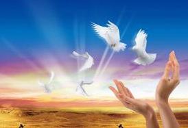 熱烈慶祝我公司網(wǎng)站正式上線(xiàn)！